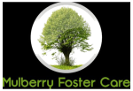 Mulberry Foster Care Ltd